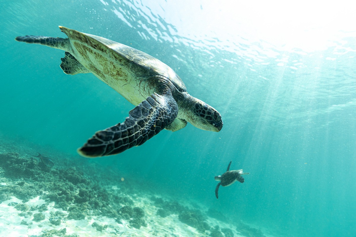 Main image 3
