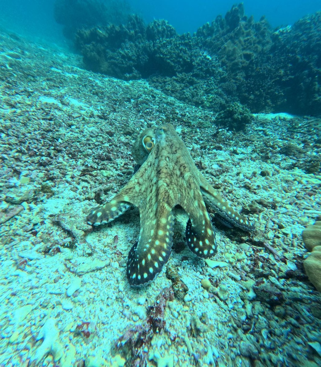 Main image 5