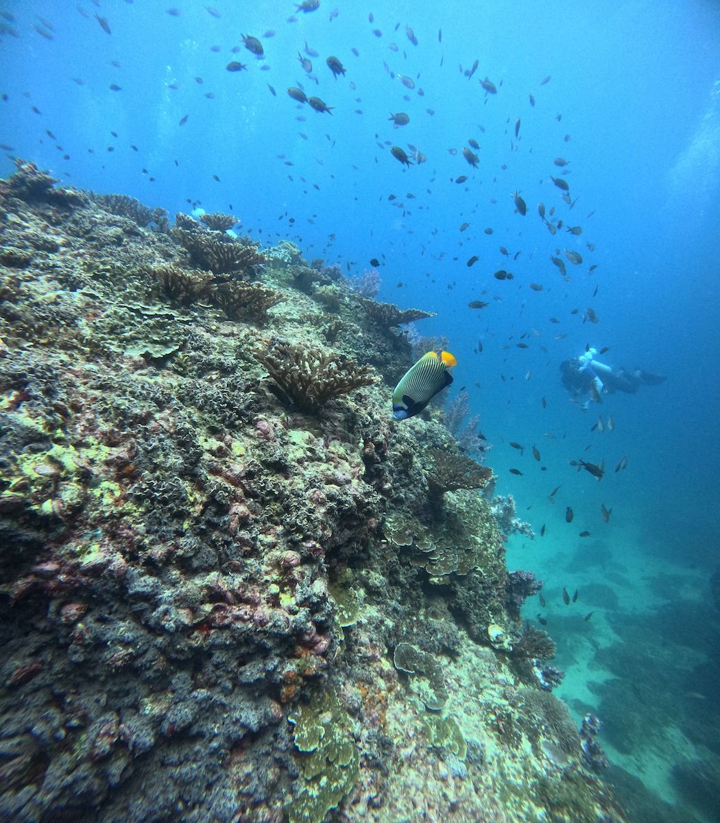 Main image 3