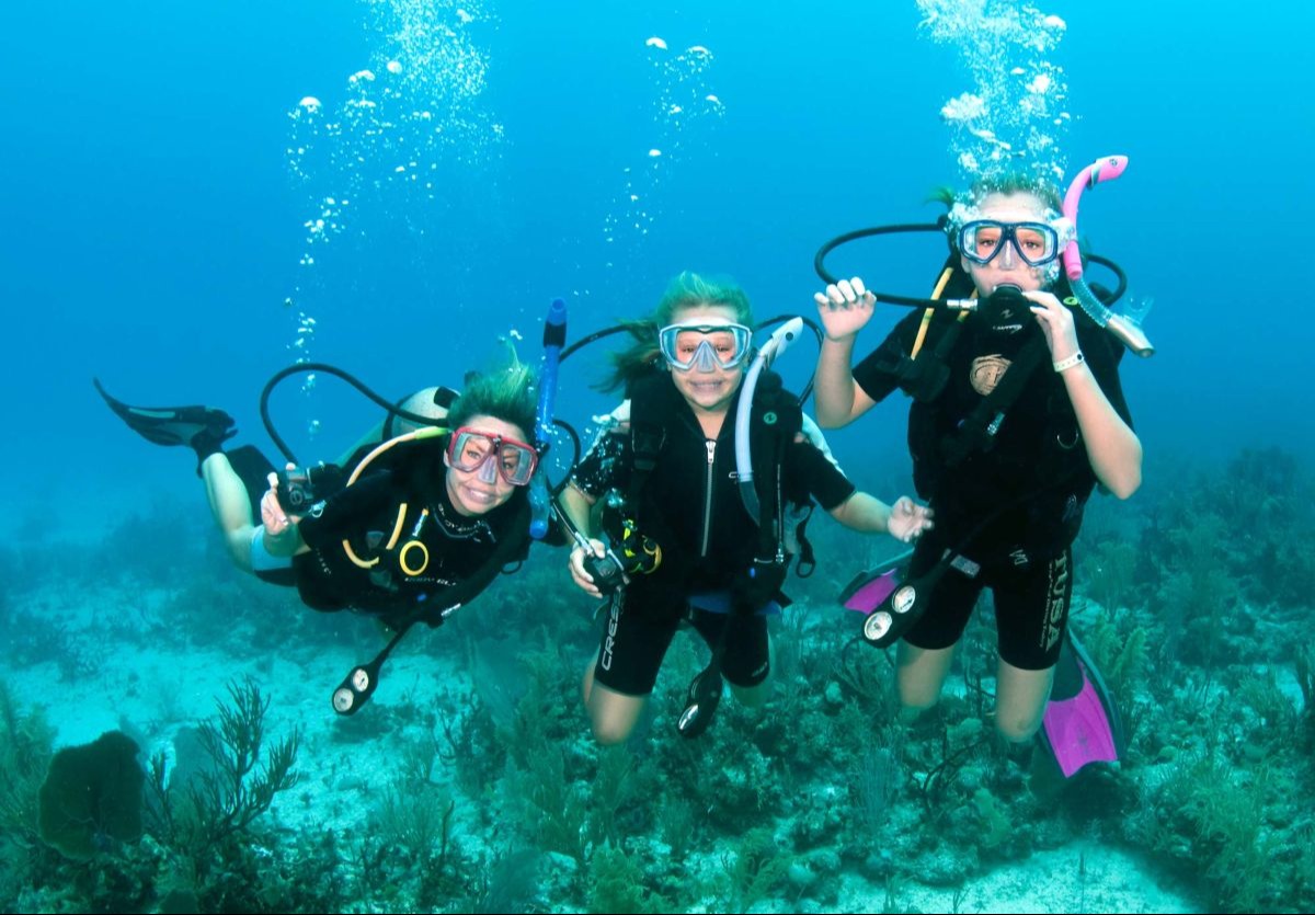 Dive Package- 2 days (4 dives)