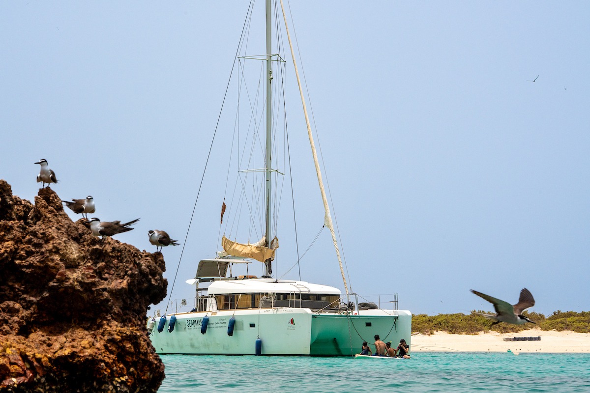 Live Aboard Dive Trip - 3 days
