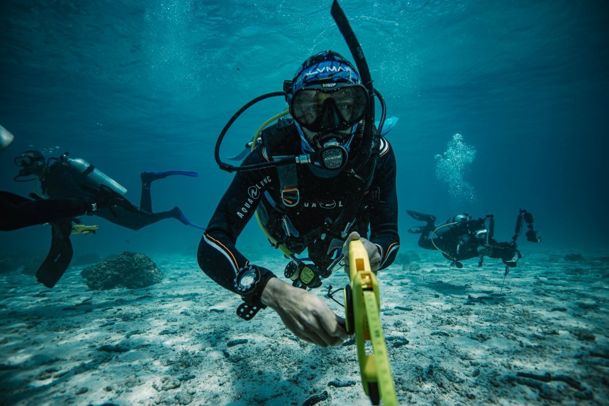 Marine Diving Survey