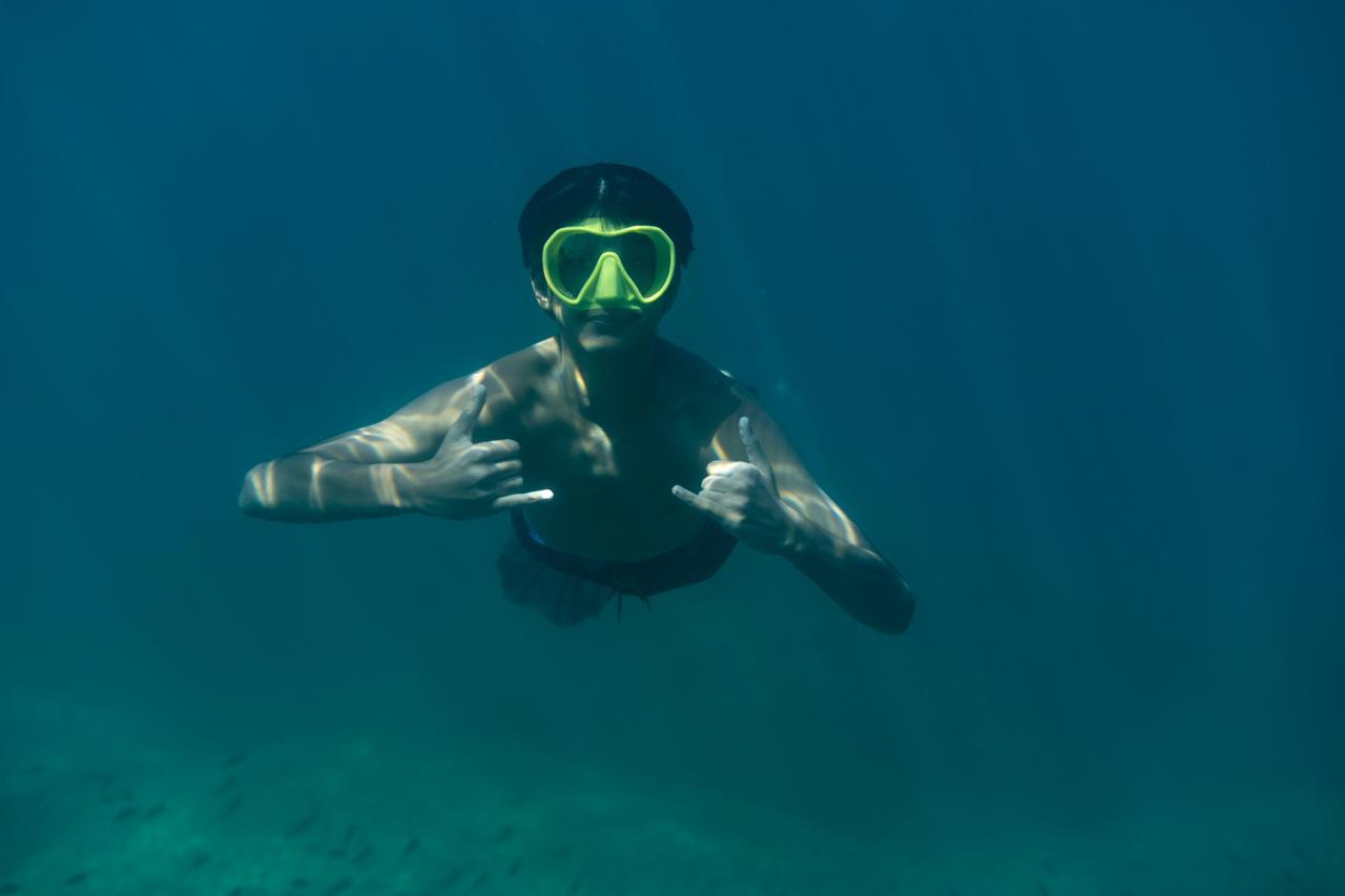 Marine Snorkelling Survey
