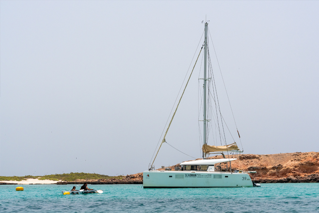 Catamaran Day-Trip