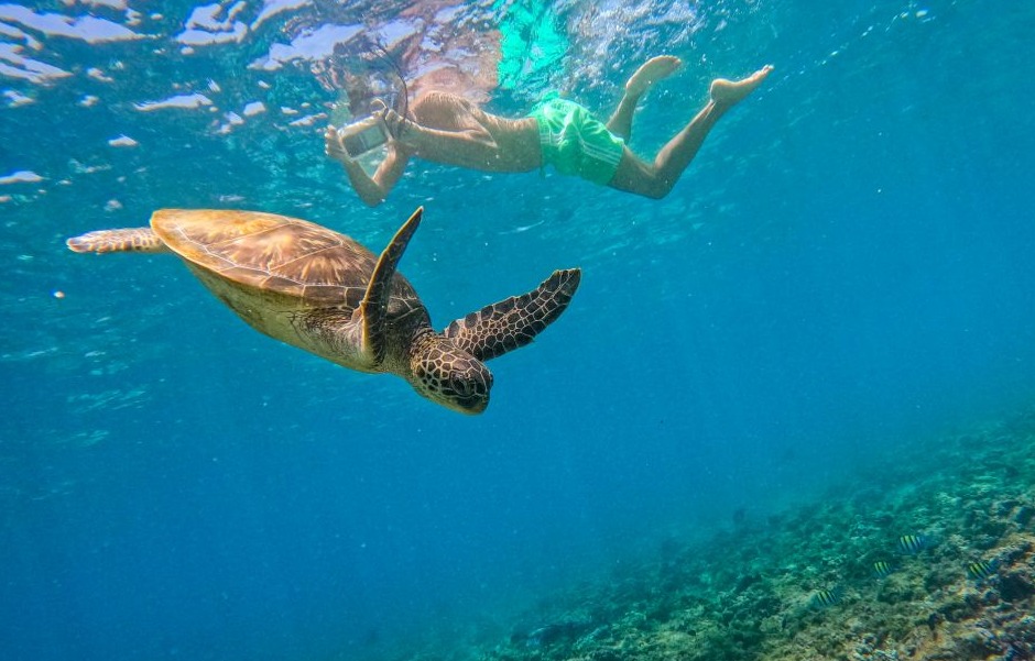 Daymaniyat Islands Snorkelling Trip