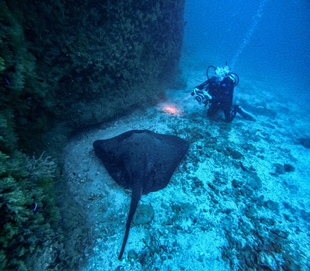 underwater-digital-photography-1